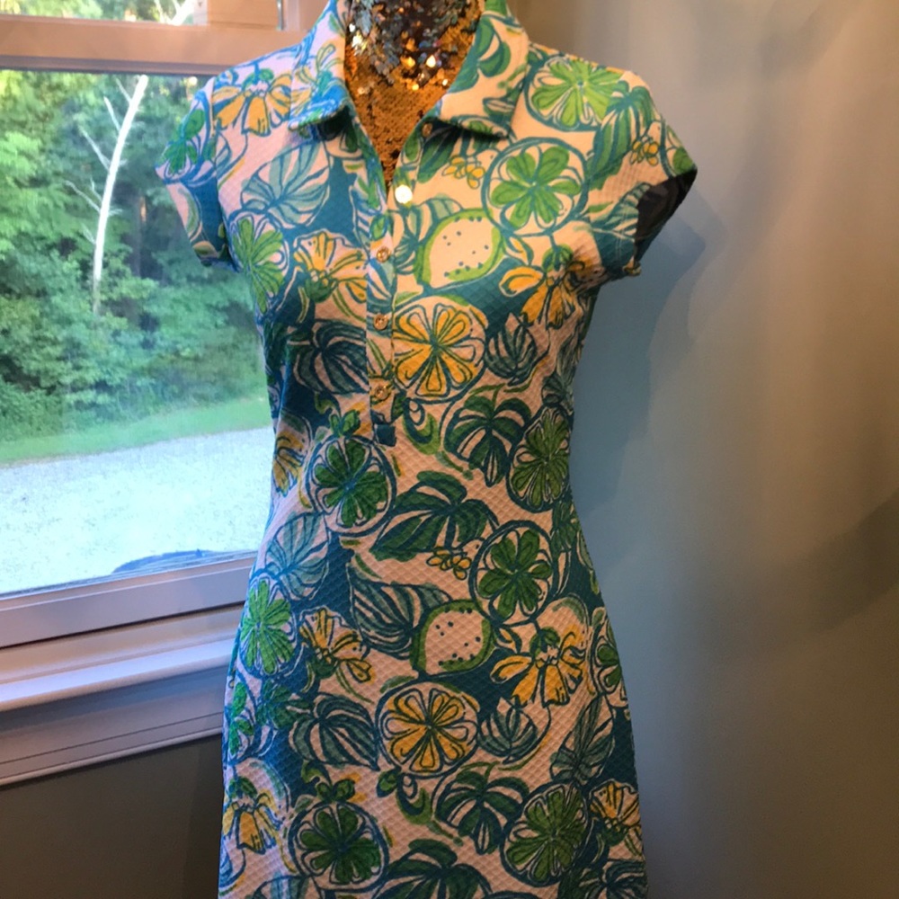 Lilly Pulitzer Dress Rayna polo dress